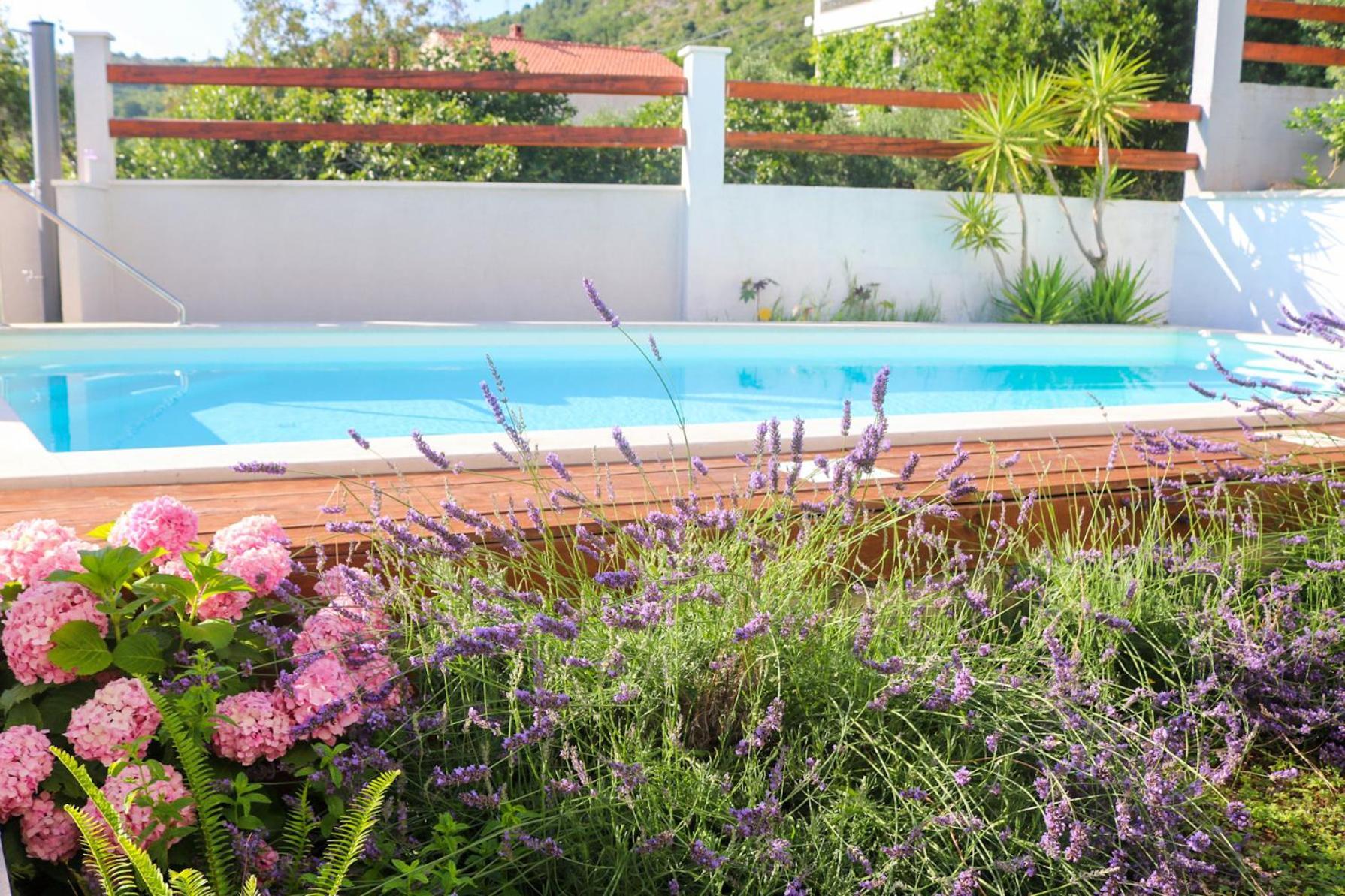 Villa My Rose With A Private Pool Mlini Exteriör bild